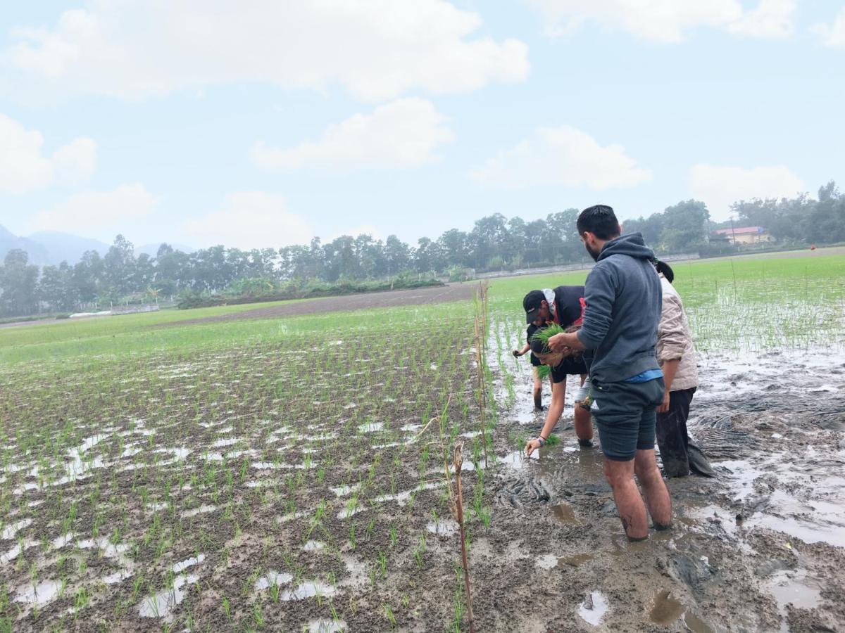 Nam Nhung Tam Coc Homestay Ninh Binh Dış mekan fotoğraf